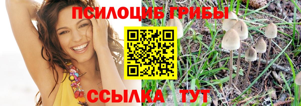 Псилоцибиновые грибы прущие грибы Миллерово