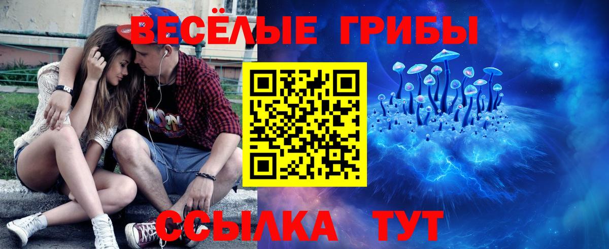 Галлюциногенные грибы прущие грибы  купить наркотик  Вход с VPN  Миллерово  Псилоцибиновые грибы MAGIC MUSHROOMS 